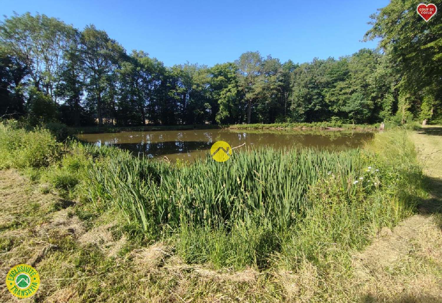  te koop terrein Vailly-sur-Sauldre Cher 3
