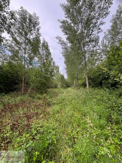 Valenciennes Nord Grundstück Bild 7356209