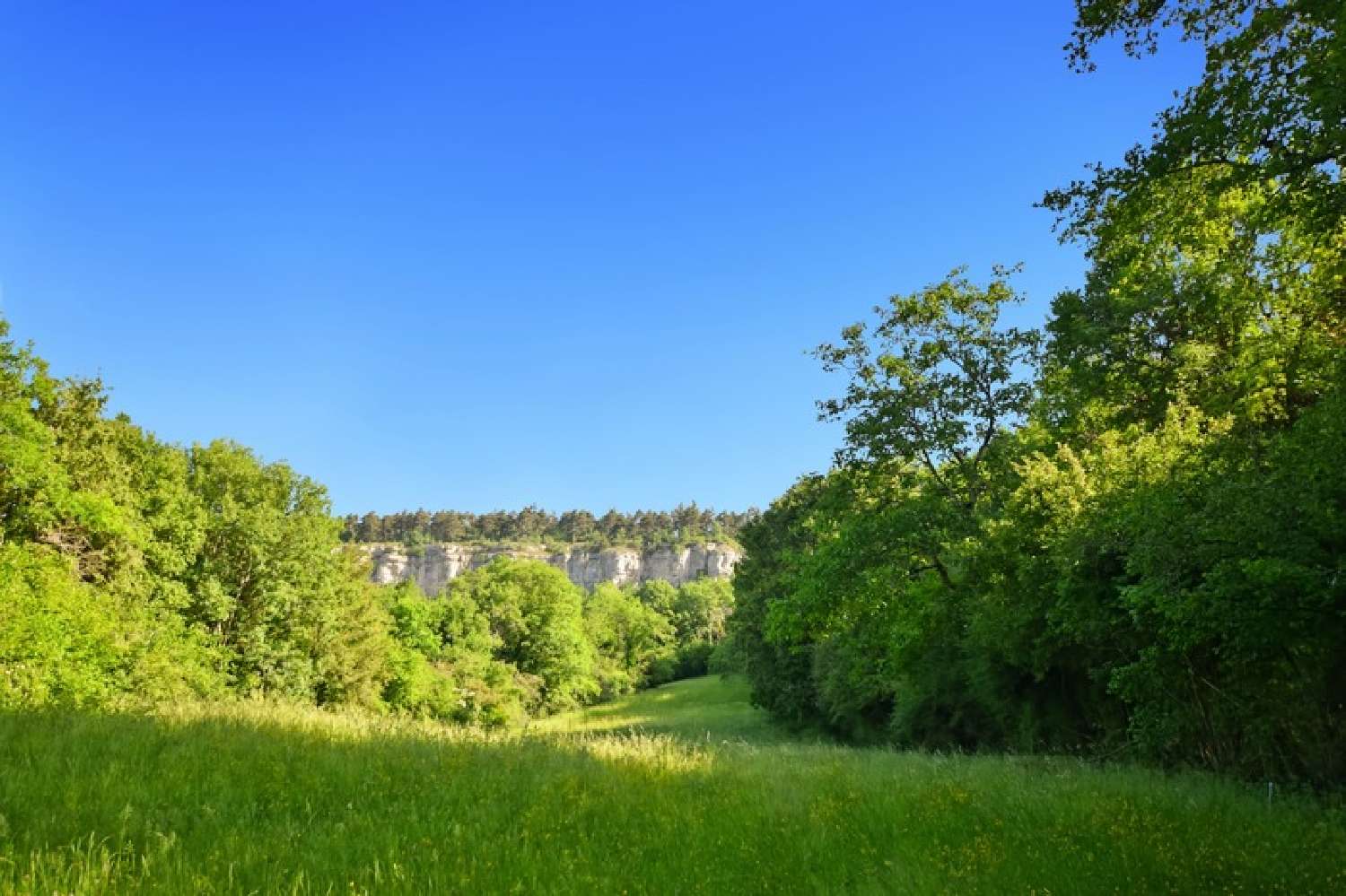 en venta terreno Vauchignon Côte-d'Or 5