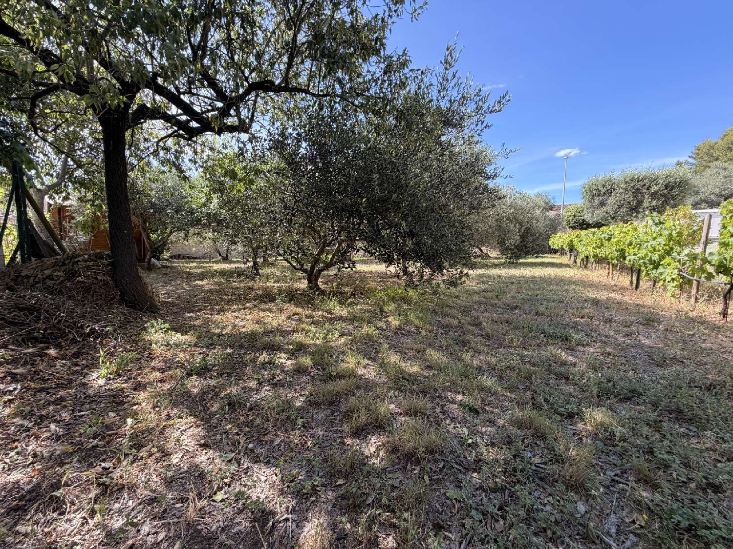for sale terrain Vergèze Gard 4