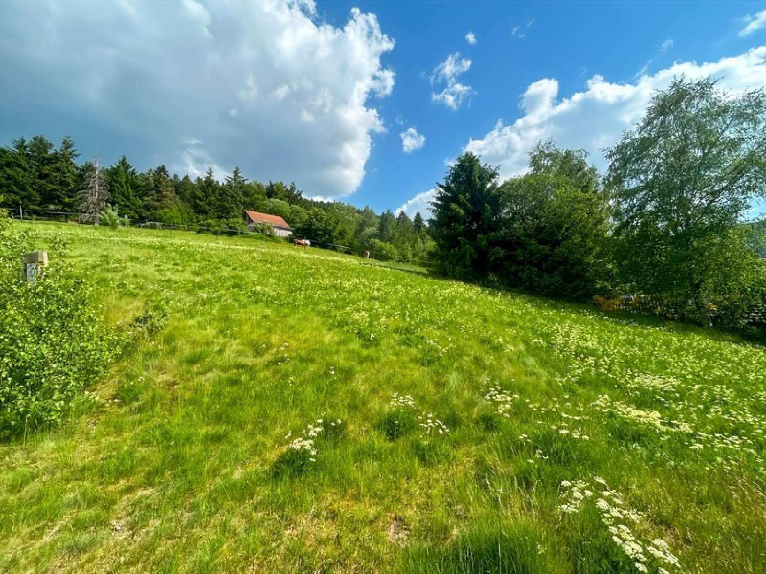  à vendre terrain Xonrupt-Longemer Vosges 4