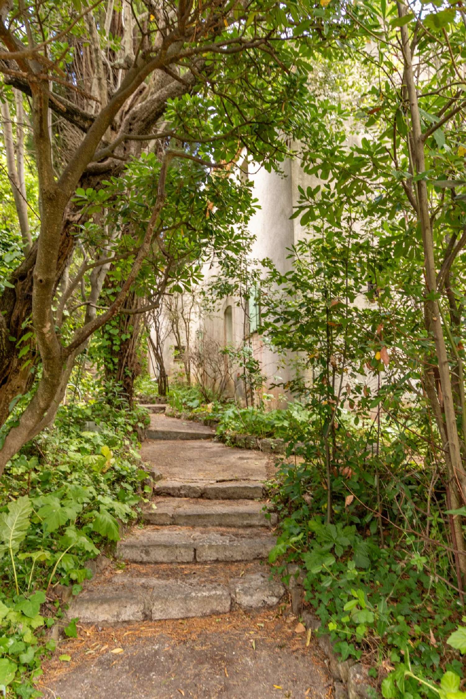 à vendre villa Antibes Alpes-Maritimes 6
