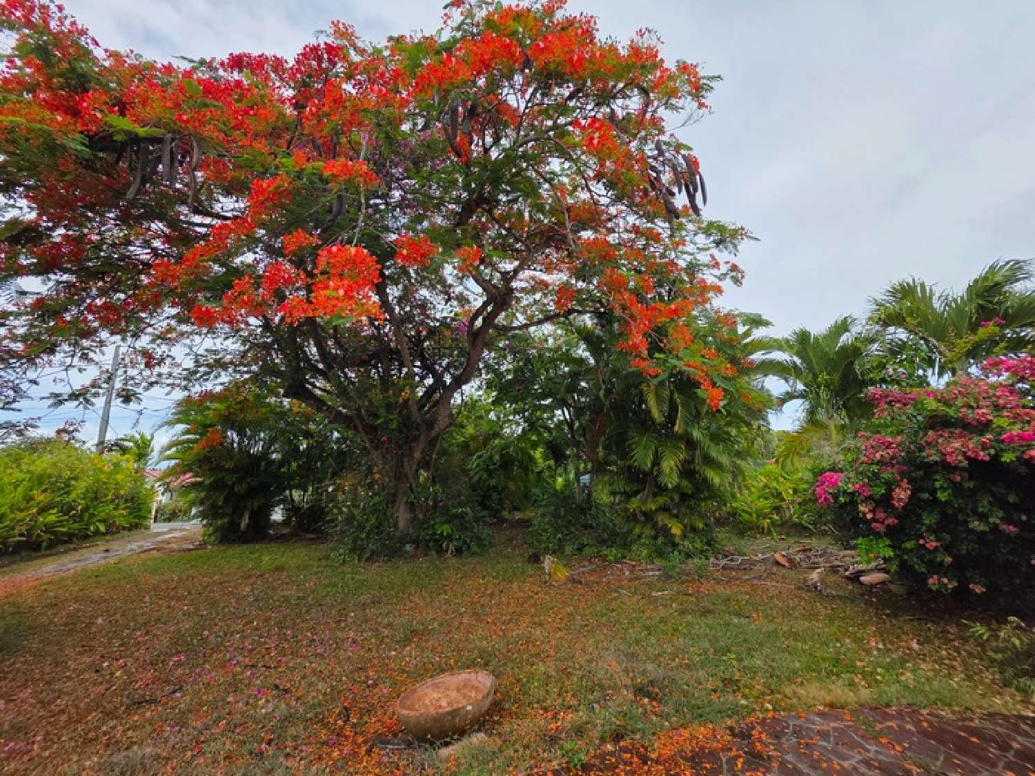  te koop villa Baie-Mahault Guadeloupe 1