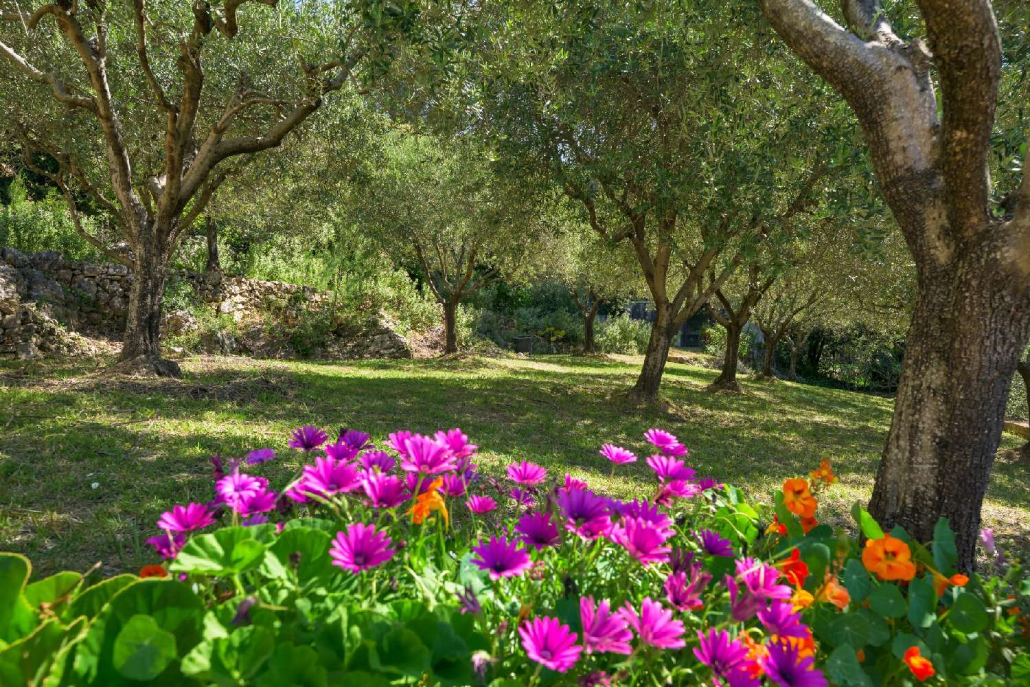 te koop villa Cabris Alpes-Maritimes 6
