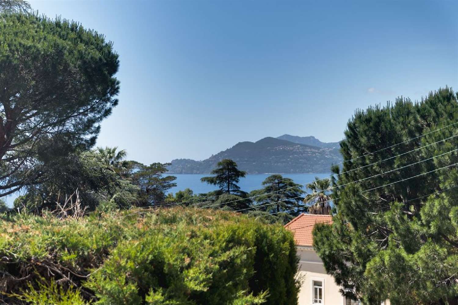  for sale villa Cannes Alpes-Maritimes 2