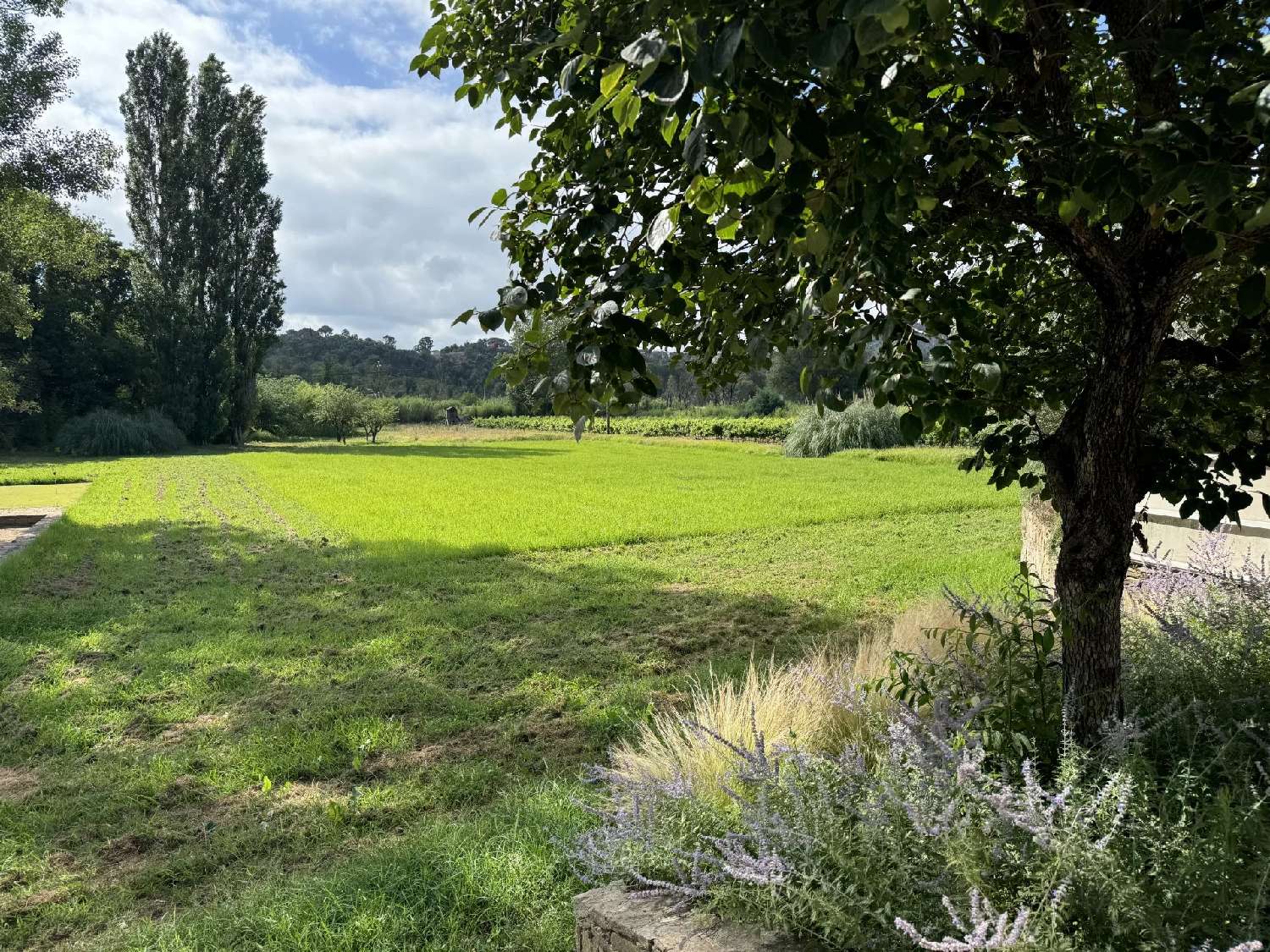  te koop villa Cogolin Var 6