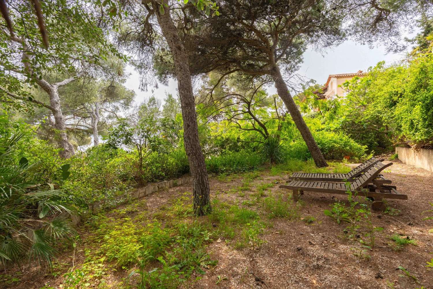 à vendre villa Falaise Calvados 6