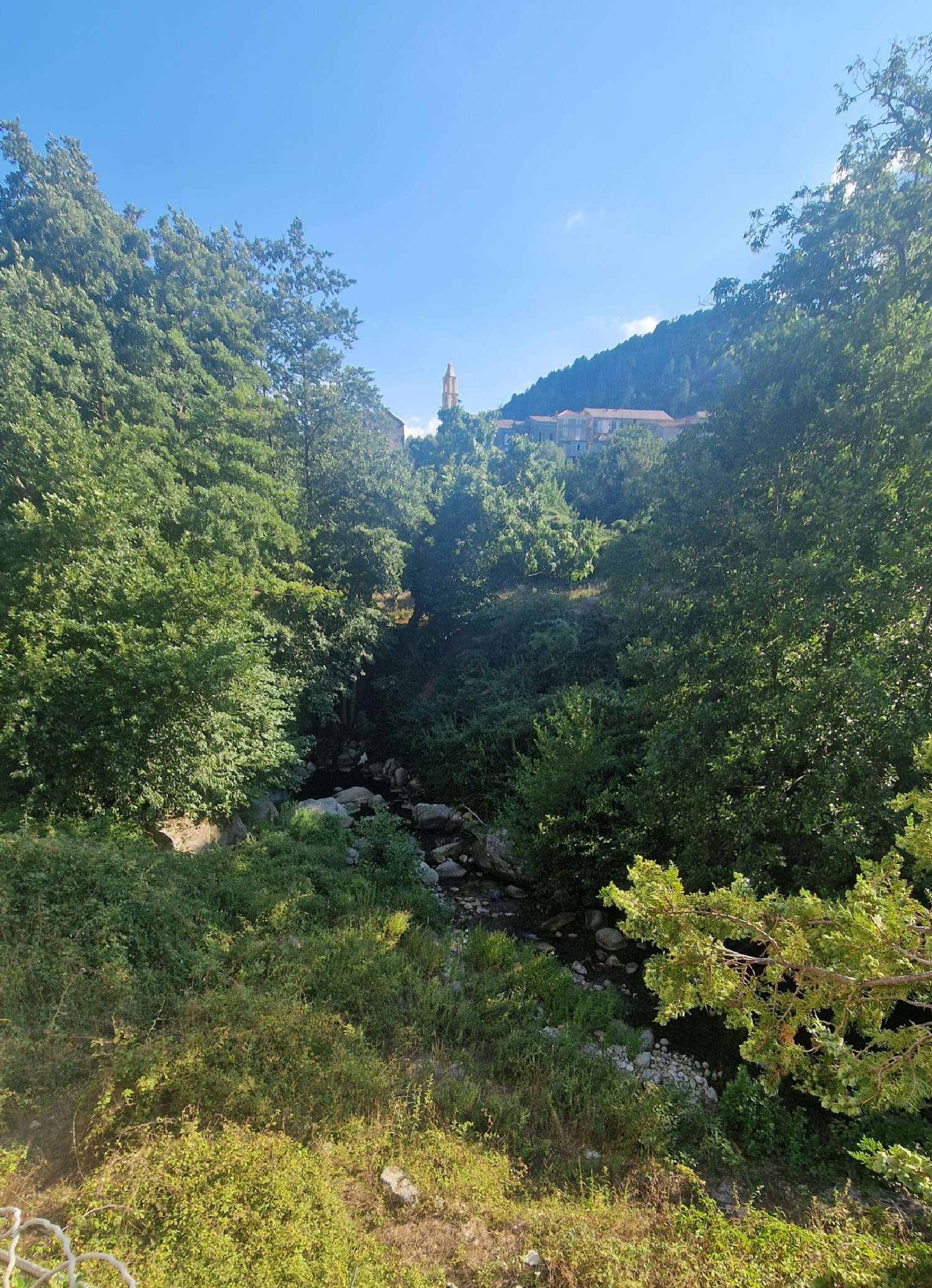  te koop villa Ghisoni Haute-Corse 1