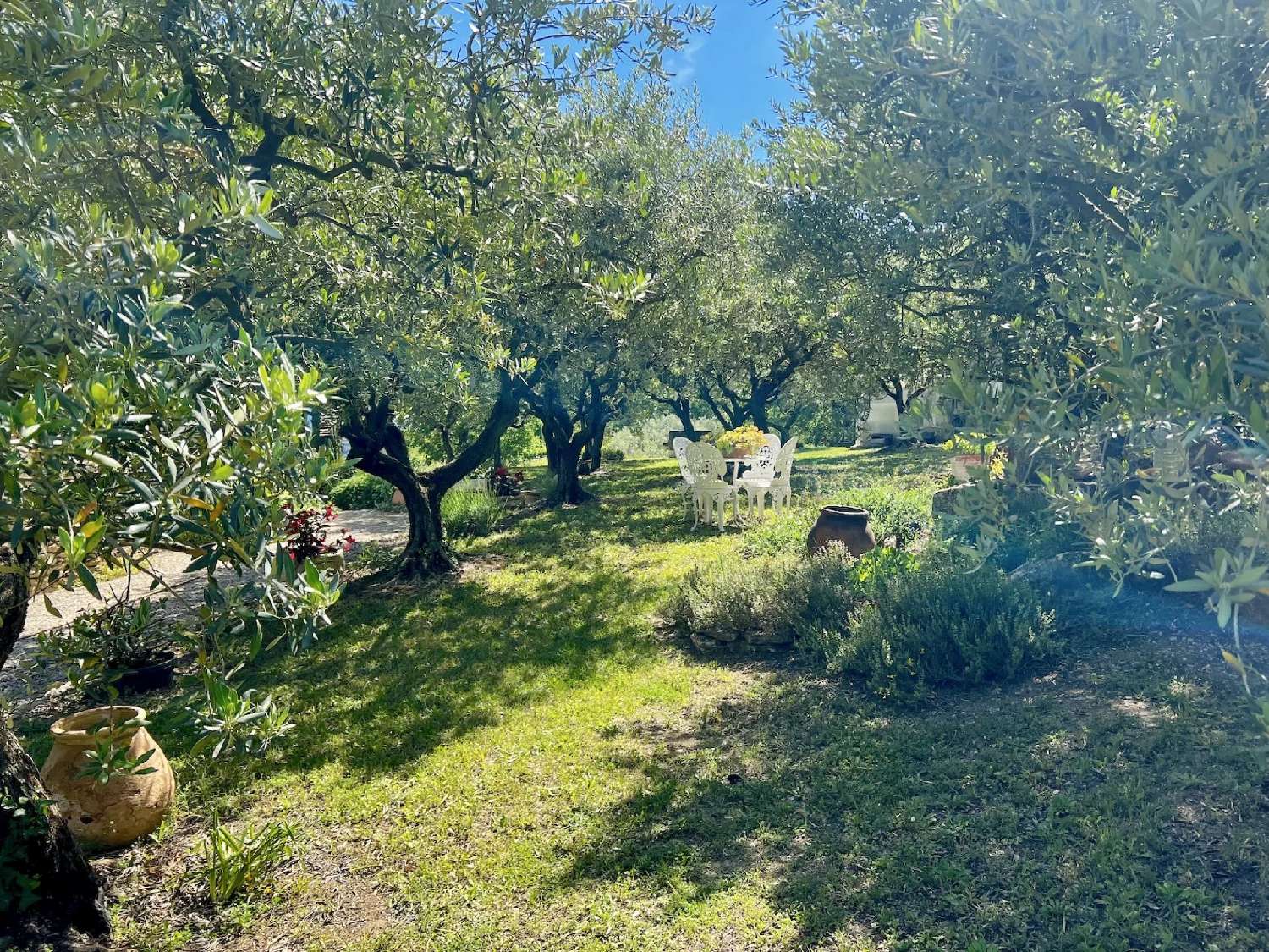 for sale villa Gordes Vaucluse 6