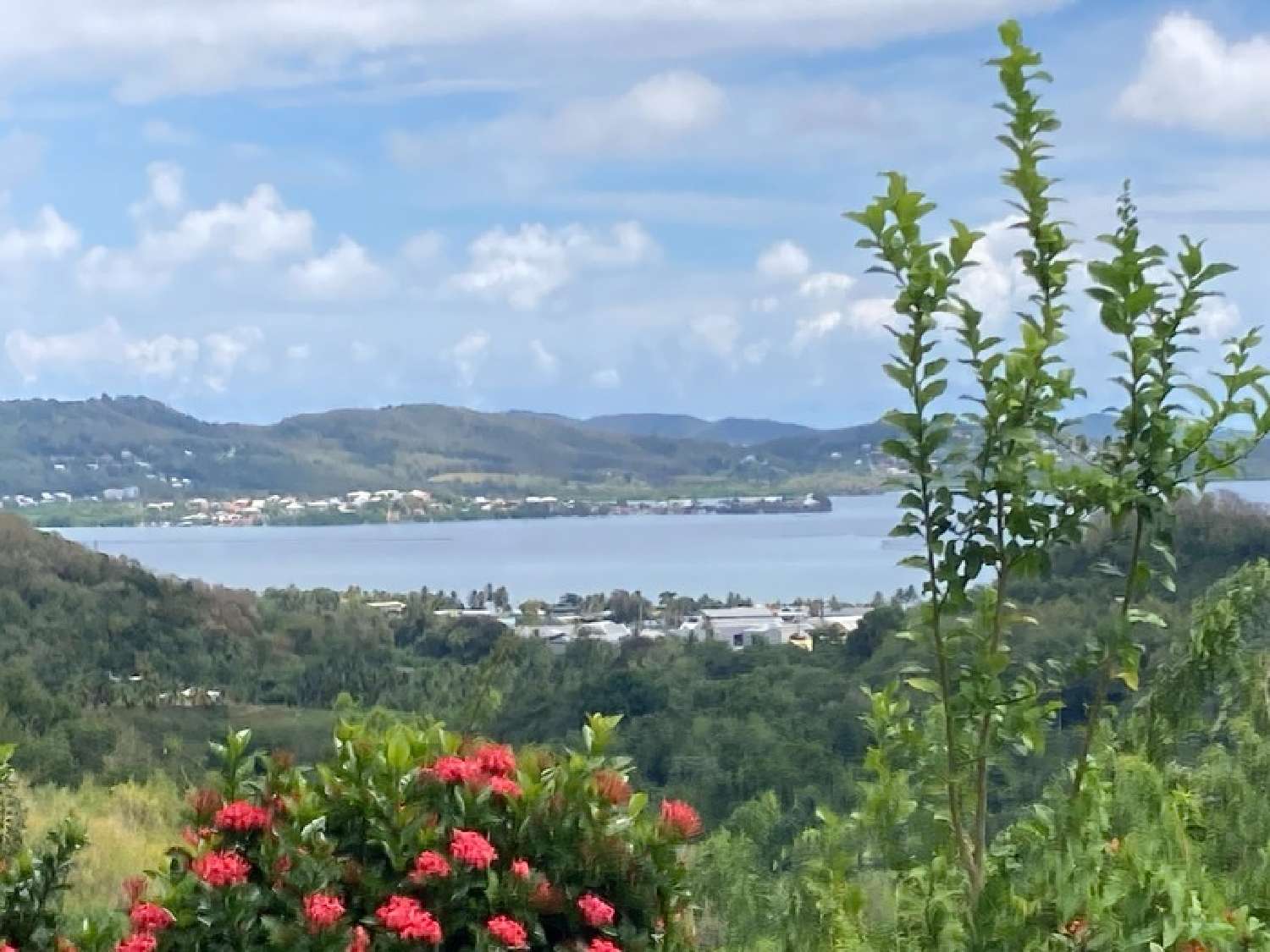 for sale villa Le Robert Martinique 1