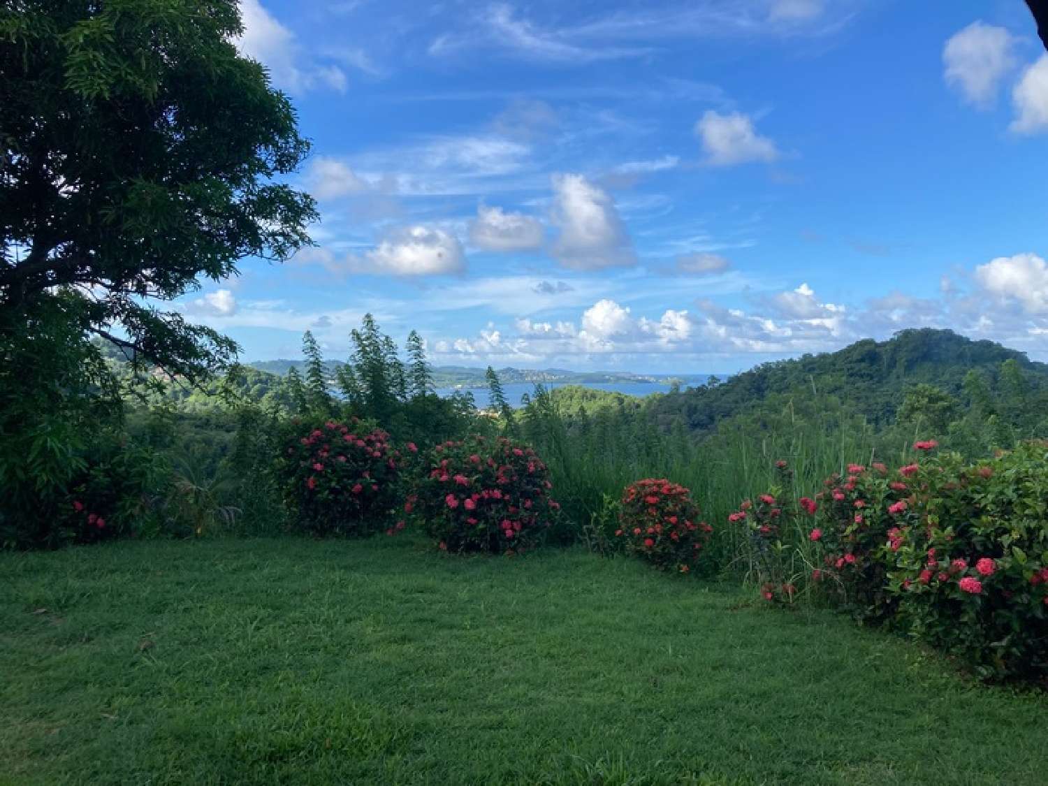 for sale villa Le Robert Martinique 4