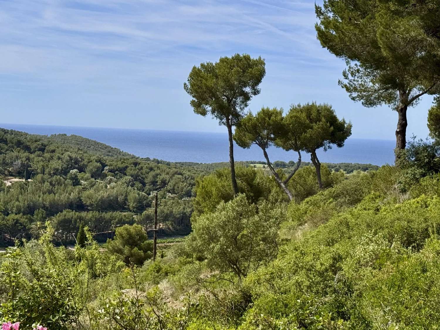  for sale villa Les Lecques Var 3