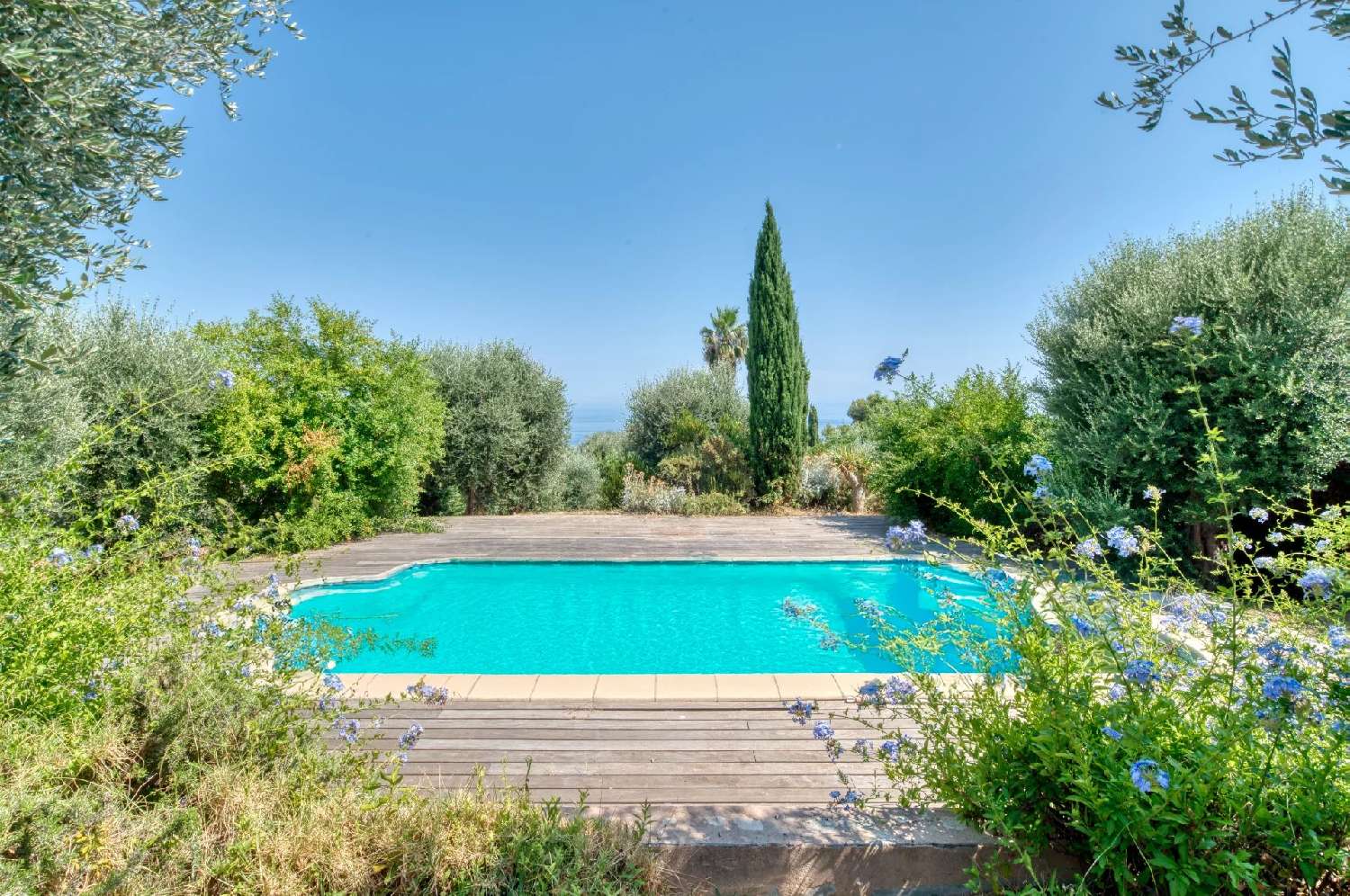 te koop villa Menton Alpes-Maritimes 6