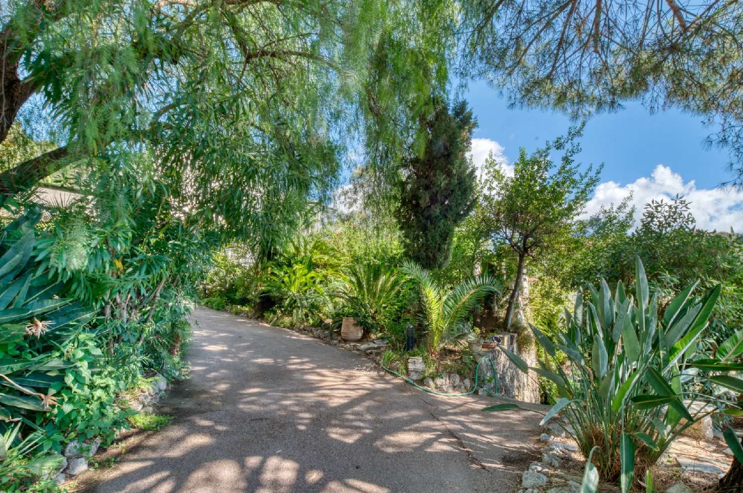  te koop villa Menton Alpes-Maritimes 7