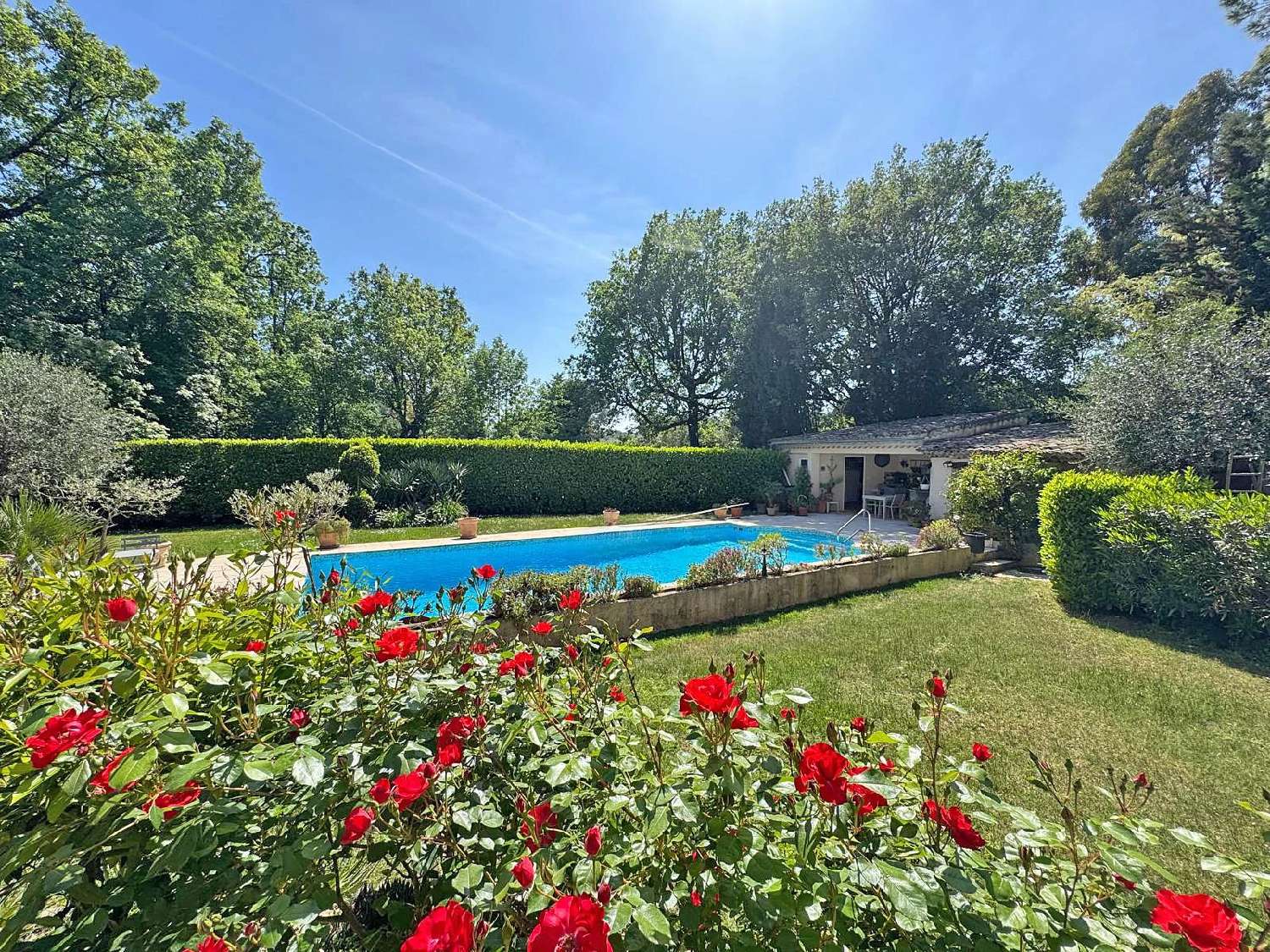 te koop villa Roquefort-les-pins Alpes-Maritimes 2