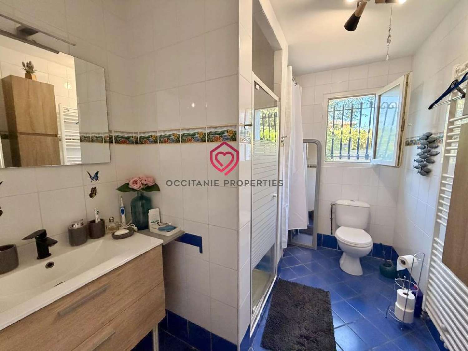 en venta villa Saint-Jean-du-Falga Ariège 8