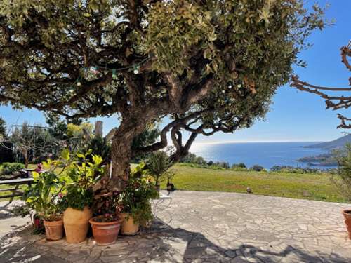 Théoule-sur-Mer Alpes-Maritimes villa foto 7365109