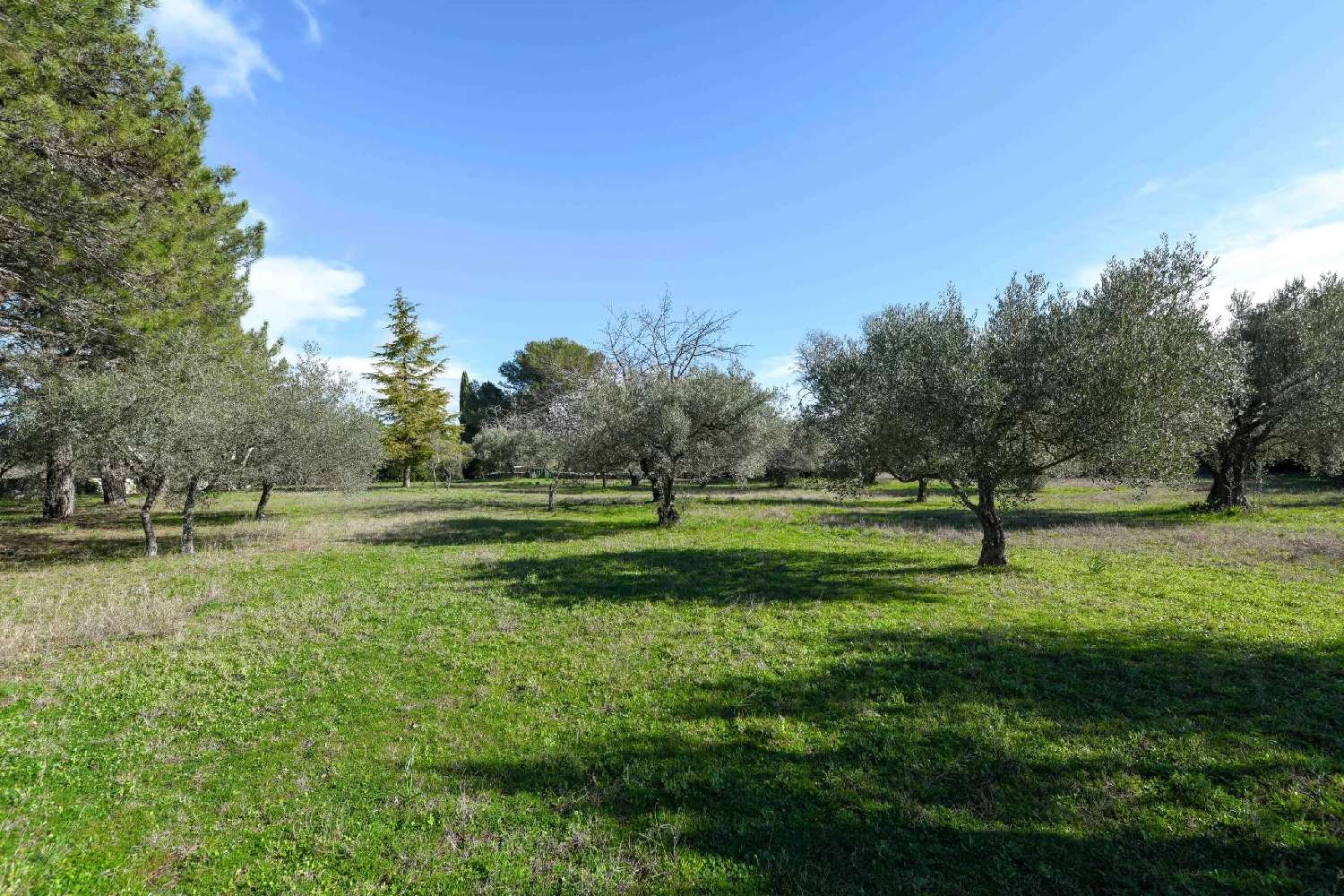 te koop villa Uzès Gard 3