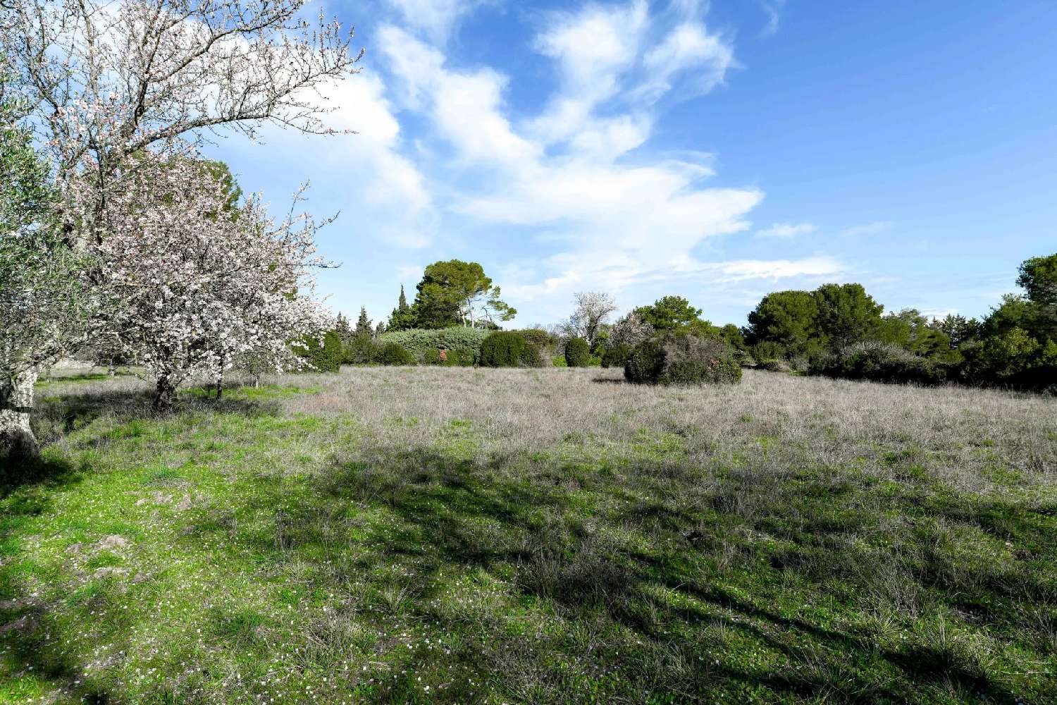 te koop villa Uzès Gard 6