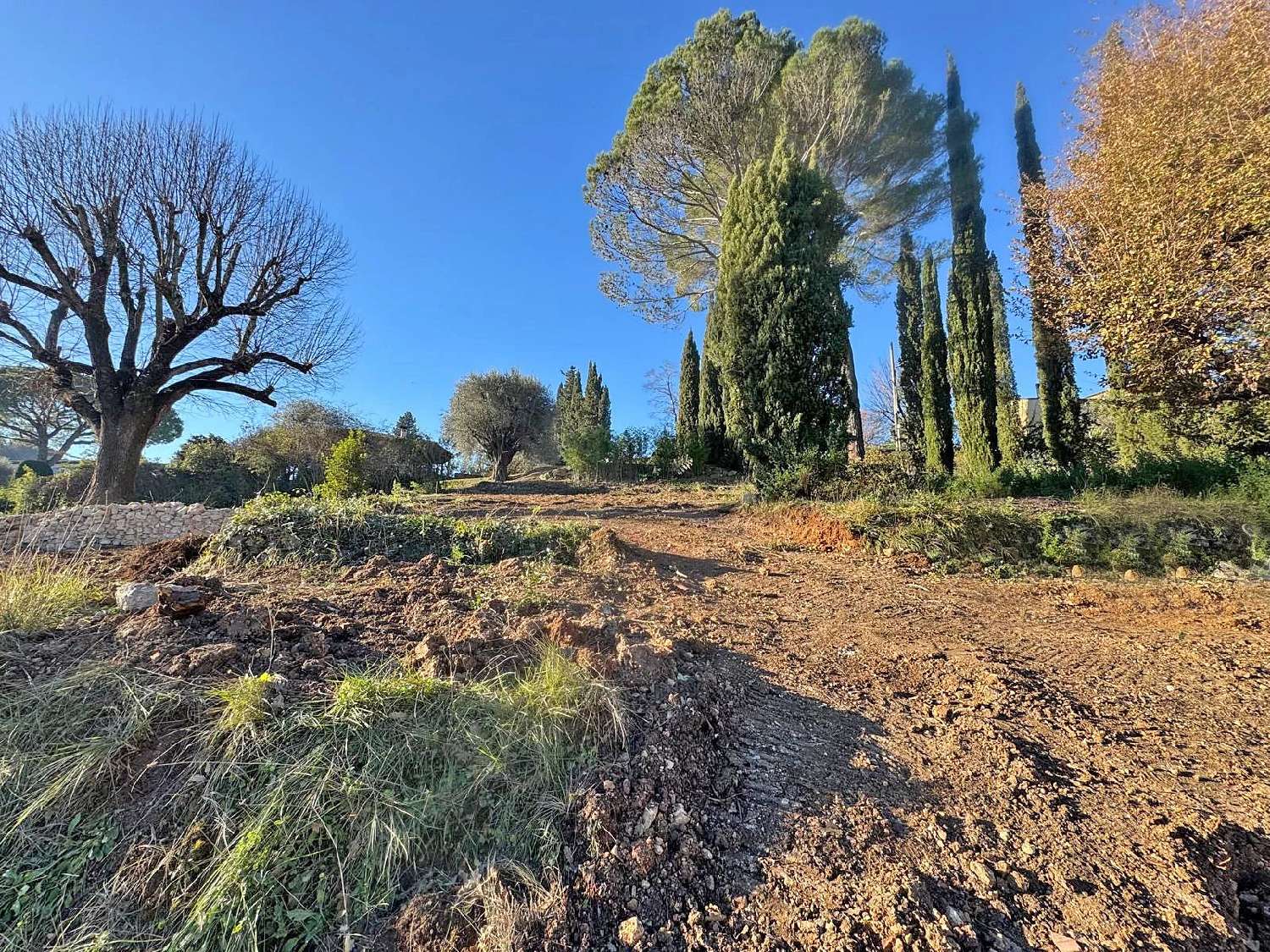 te koop villa Valbonne Alpes-Maritimes 4