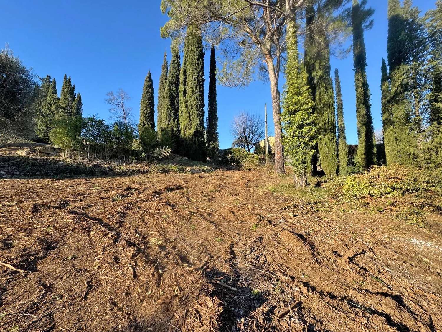te koop villa Valbonne Alpes-Maritimes 6