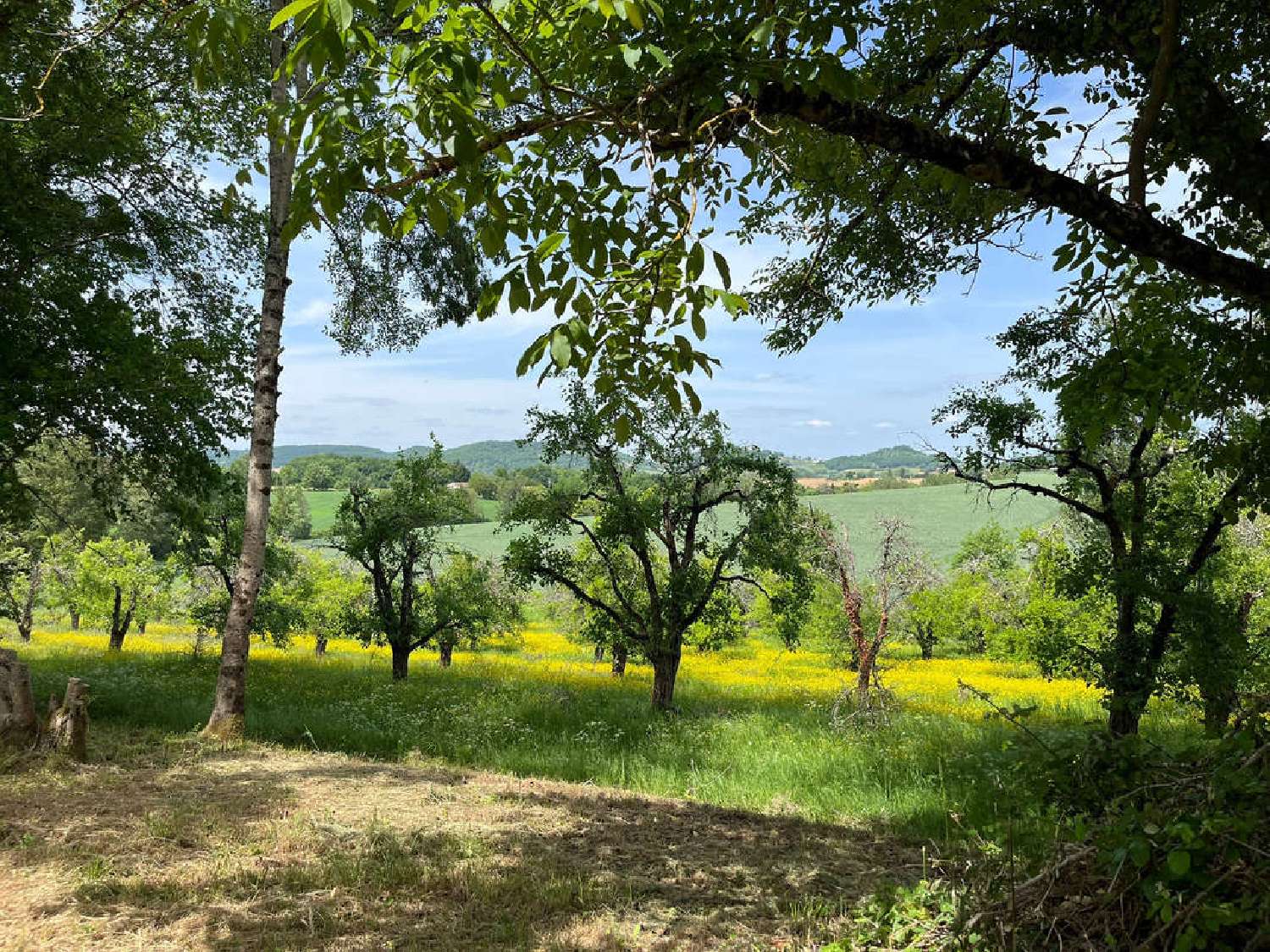  en venta villa Valeilles Tarn-et-Garonne 2