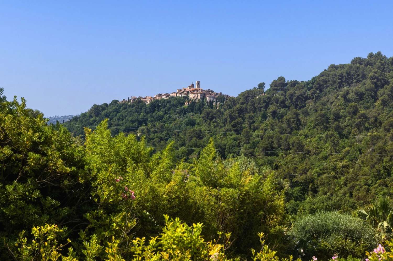 te koop villa Vence Alpes-Maritimes 5