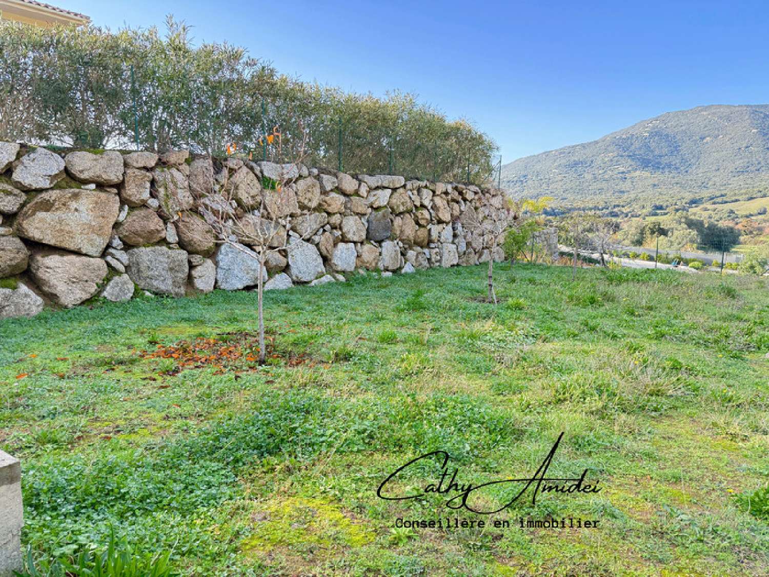 te koop villa Viggianello Corse-du-Sud 8