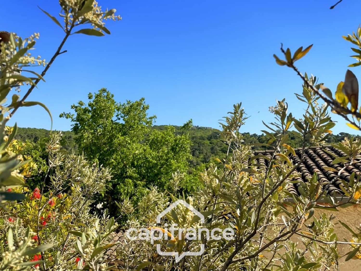 à vendre maison de village Alleins Bouches-du-Rhône 5
