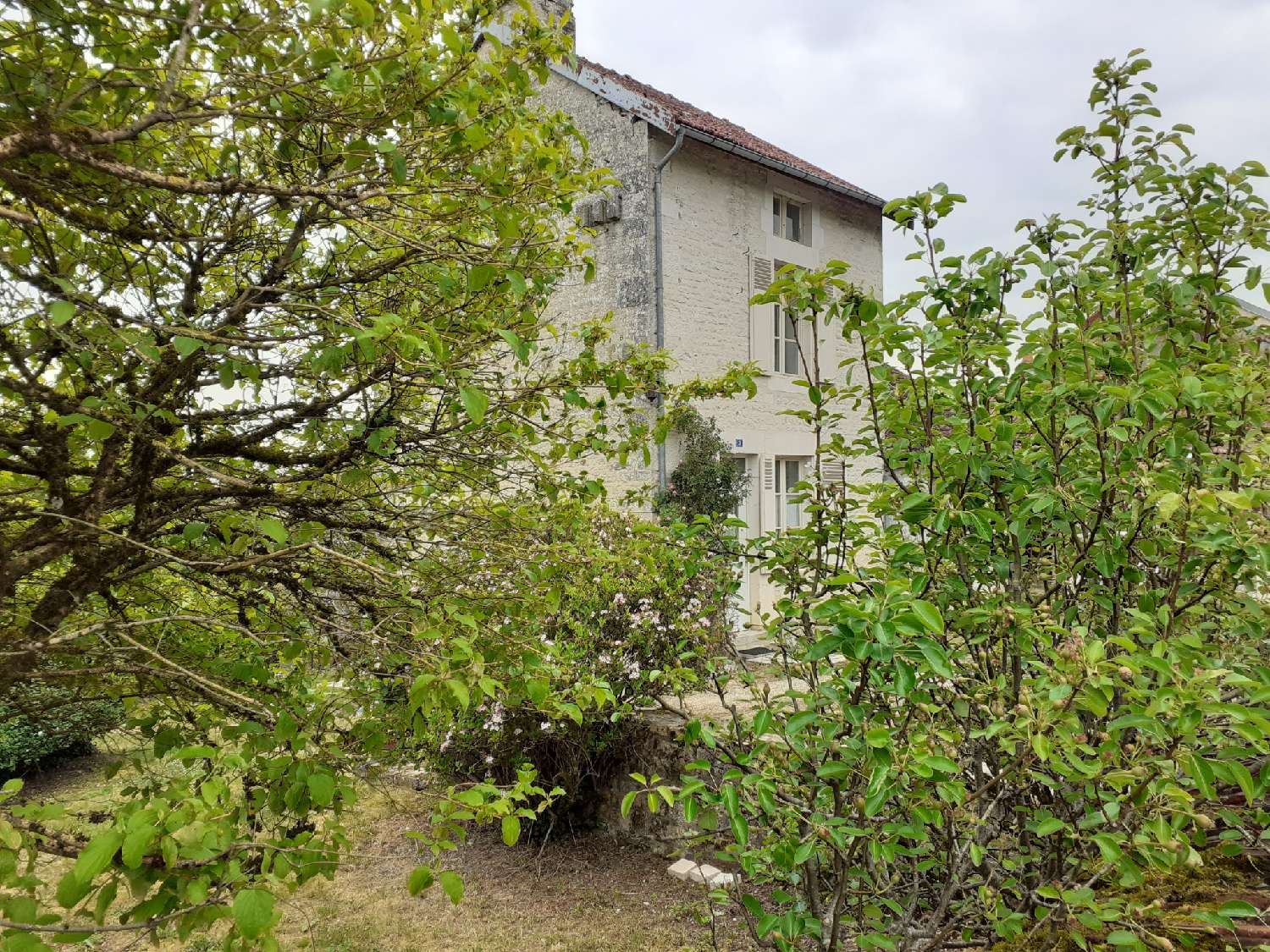 for sale village house Aubepierre-sur-Aube Haute-Marne 3