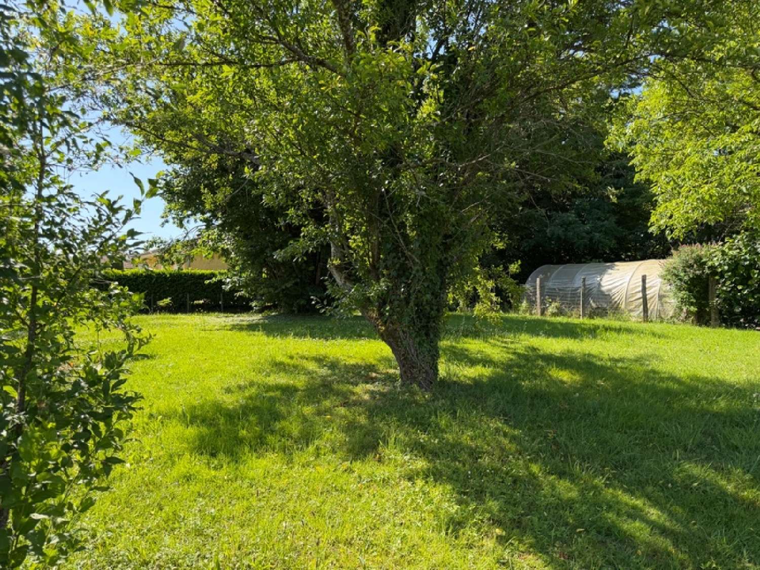 à vendre maison de village Cuisery Saône-et-Loire 8