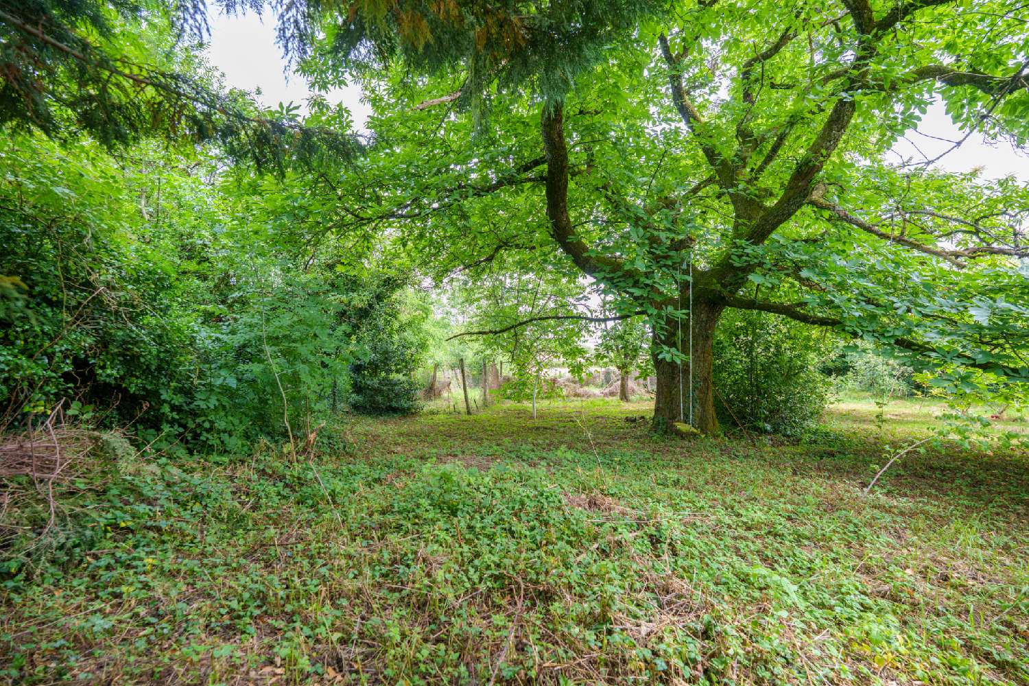 for sale village house Pressigny Haute-Marne 2