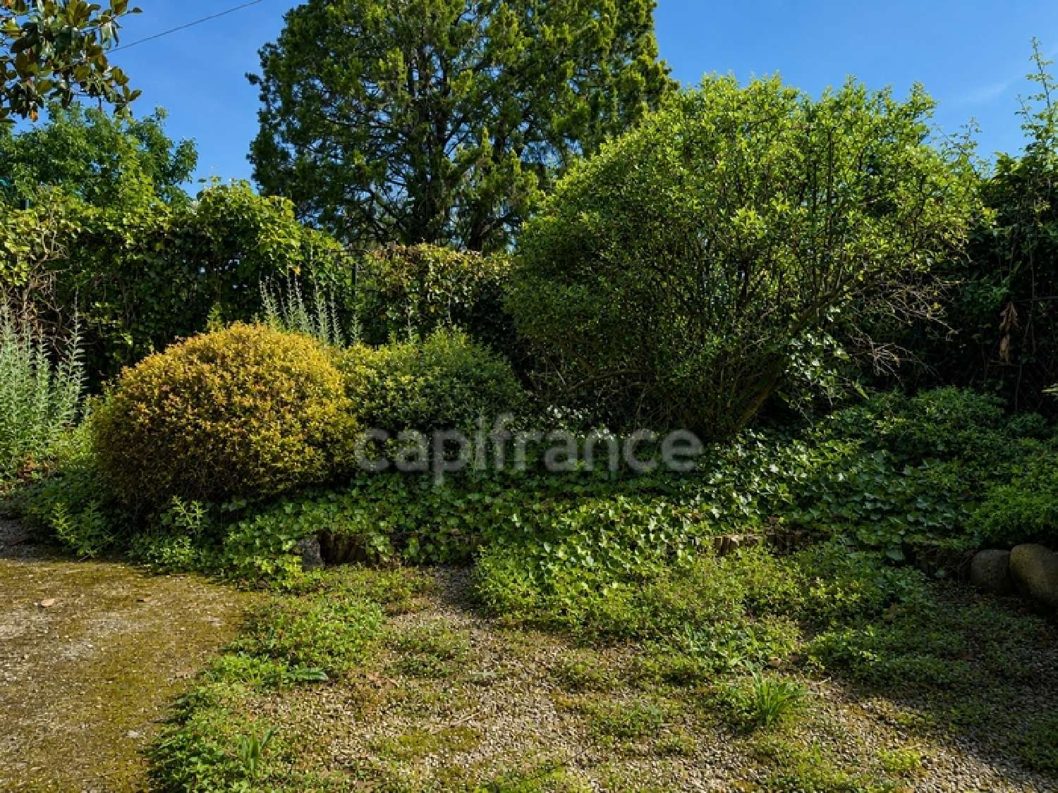 en venta casa de pueblo Saint-Hilaire Haute-Garonne 8