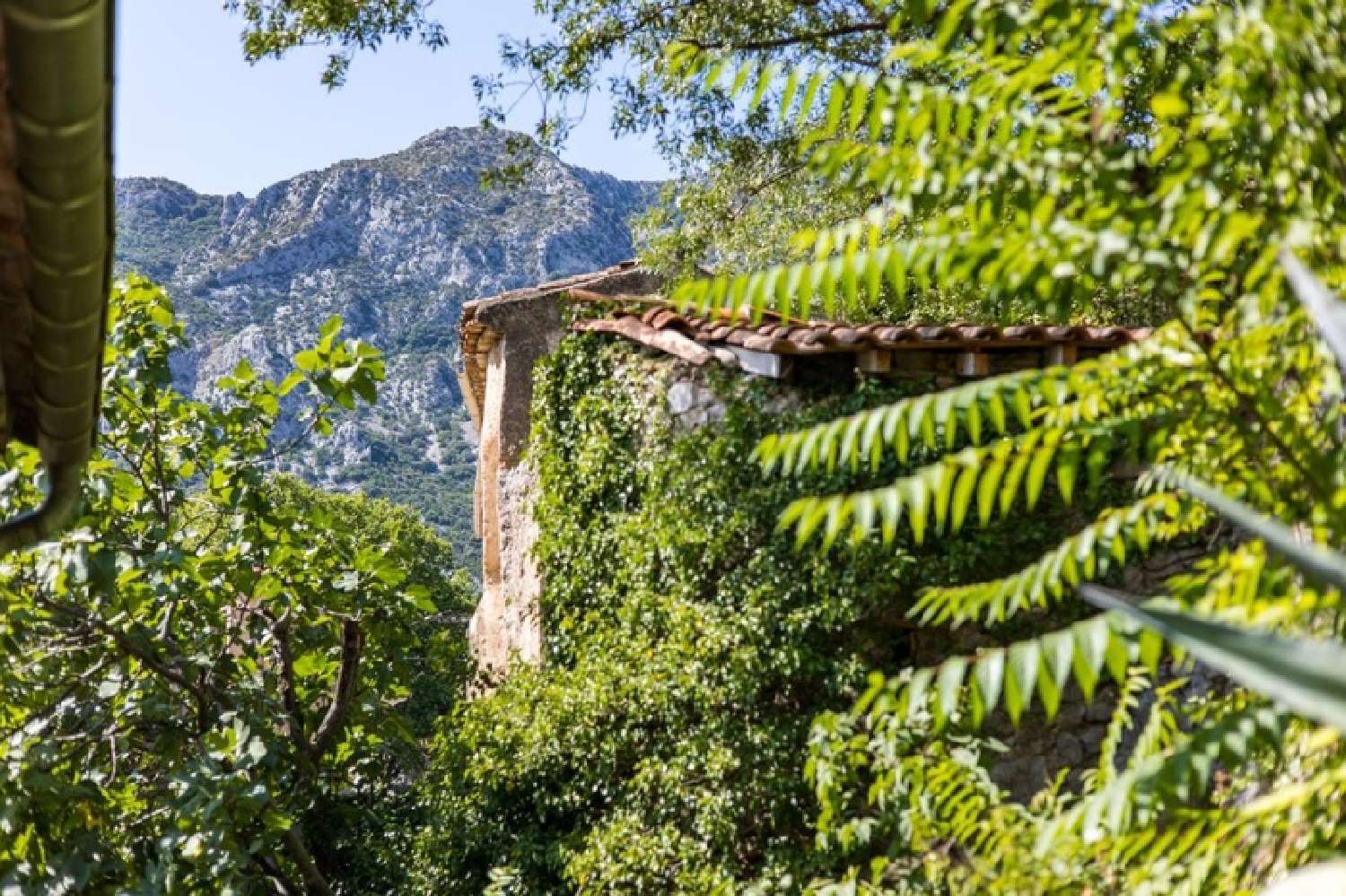  te koop dorpshuis Saint-Jean-de-Buèges Hérault 1