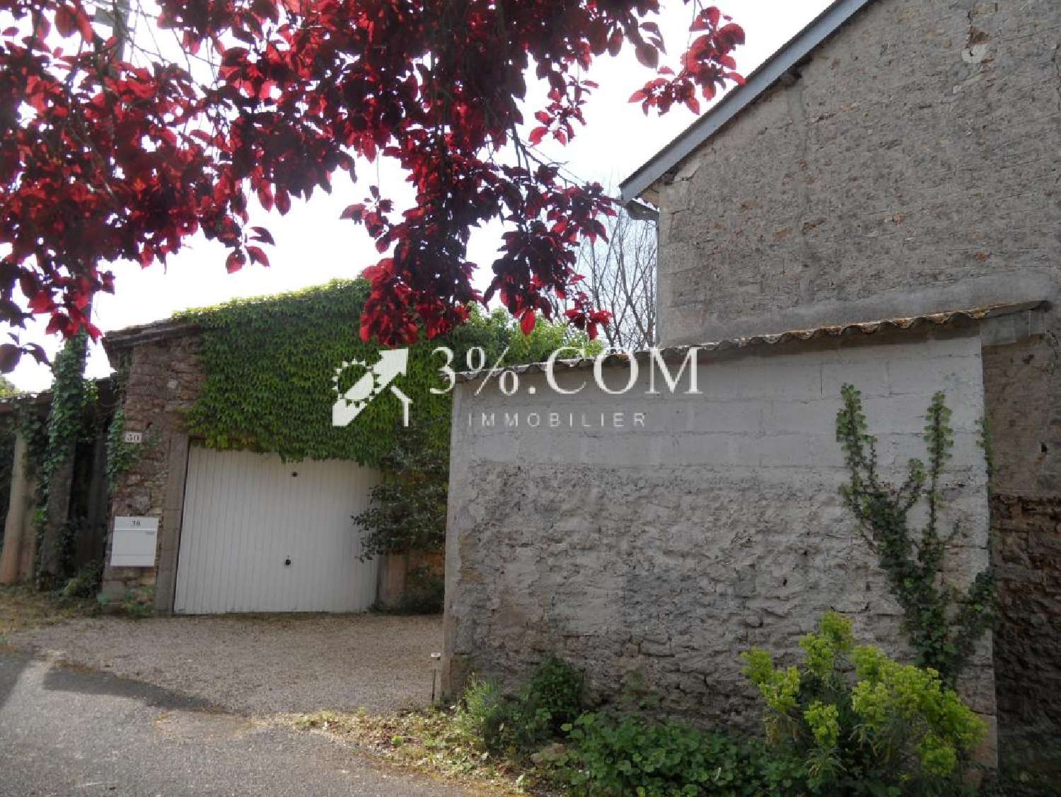  à vendre maison de village Sommières-du-Clain Vienne 1