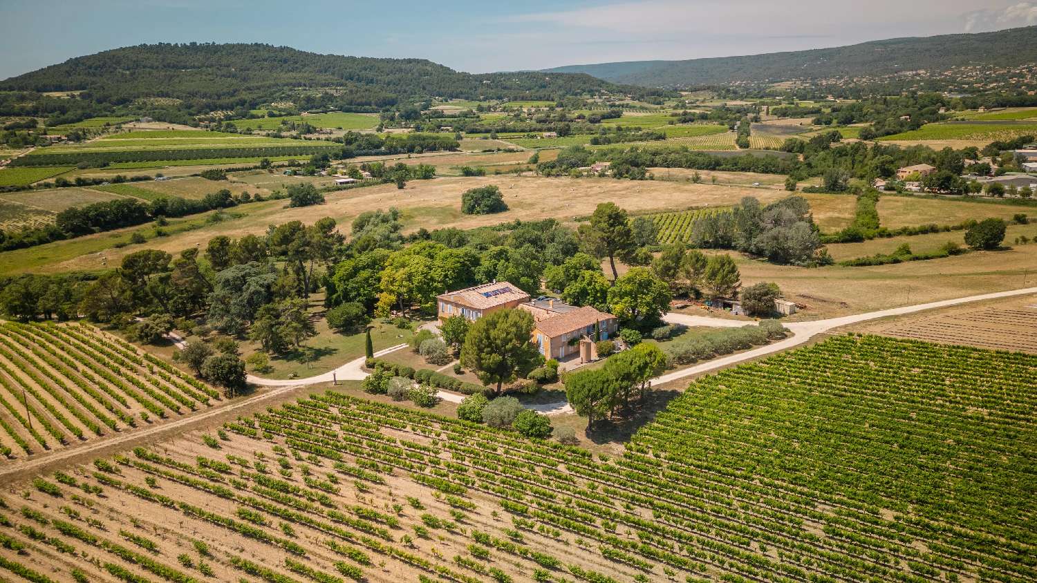 for sale vineyard Le Vibal Aveyron 2