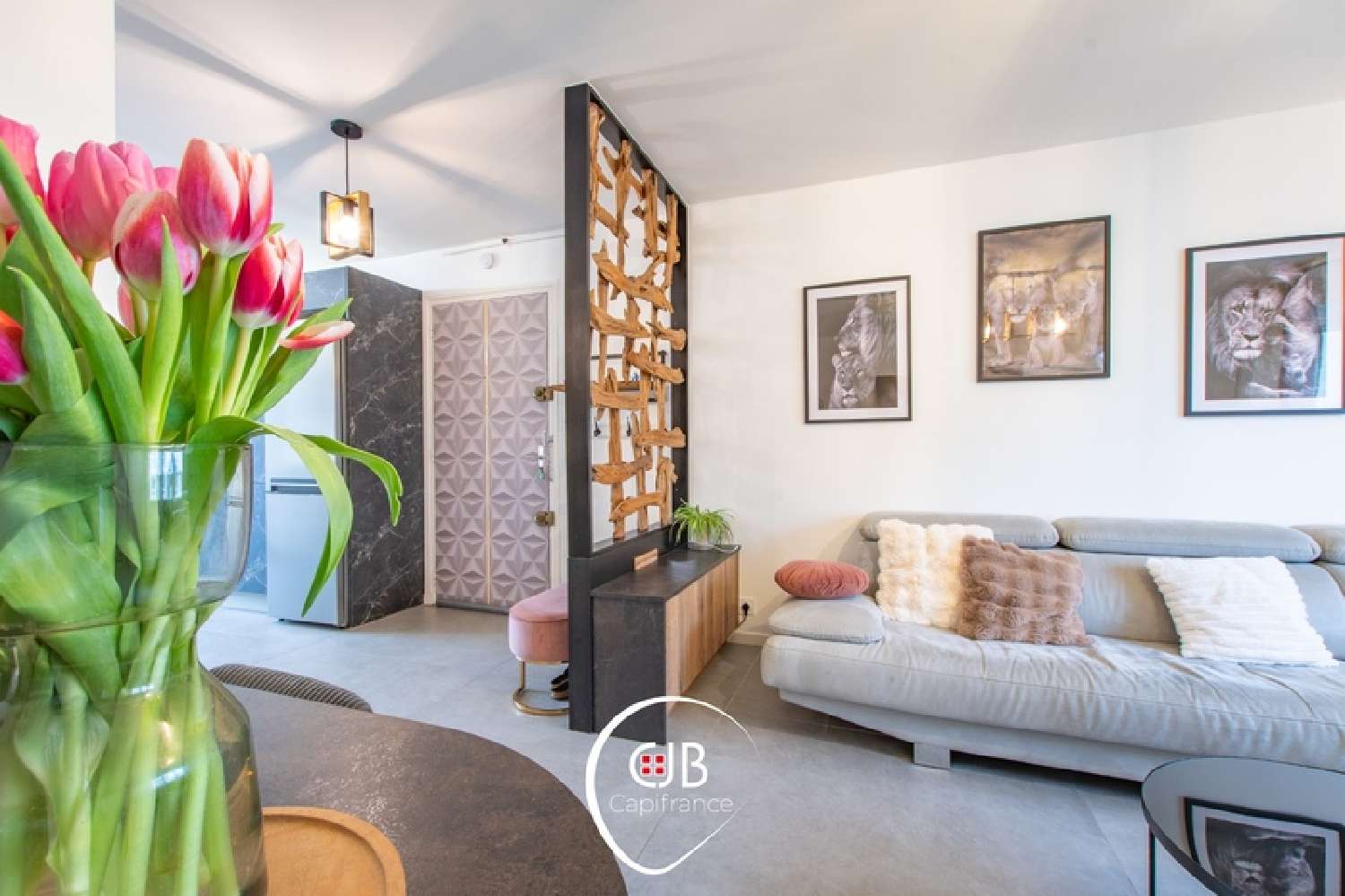  à vendre appartement Barberaz Savoie 2