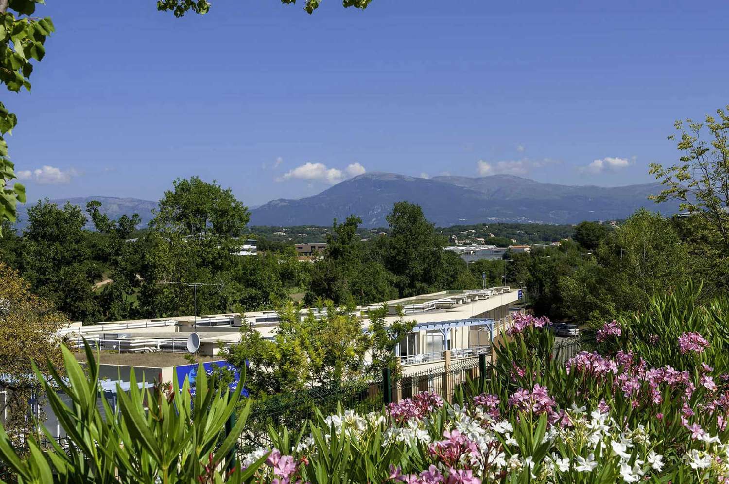 te koop appartement Biot Alpes-Maritimes 8