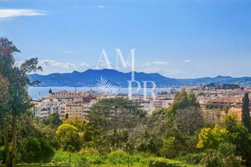Cannes Alpes-Maritimes Wohnung/ Apartment Bild 7381091