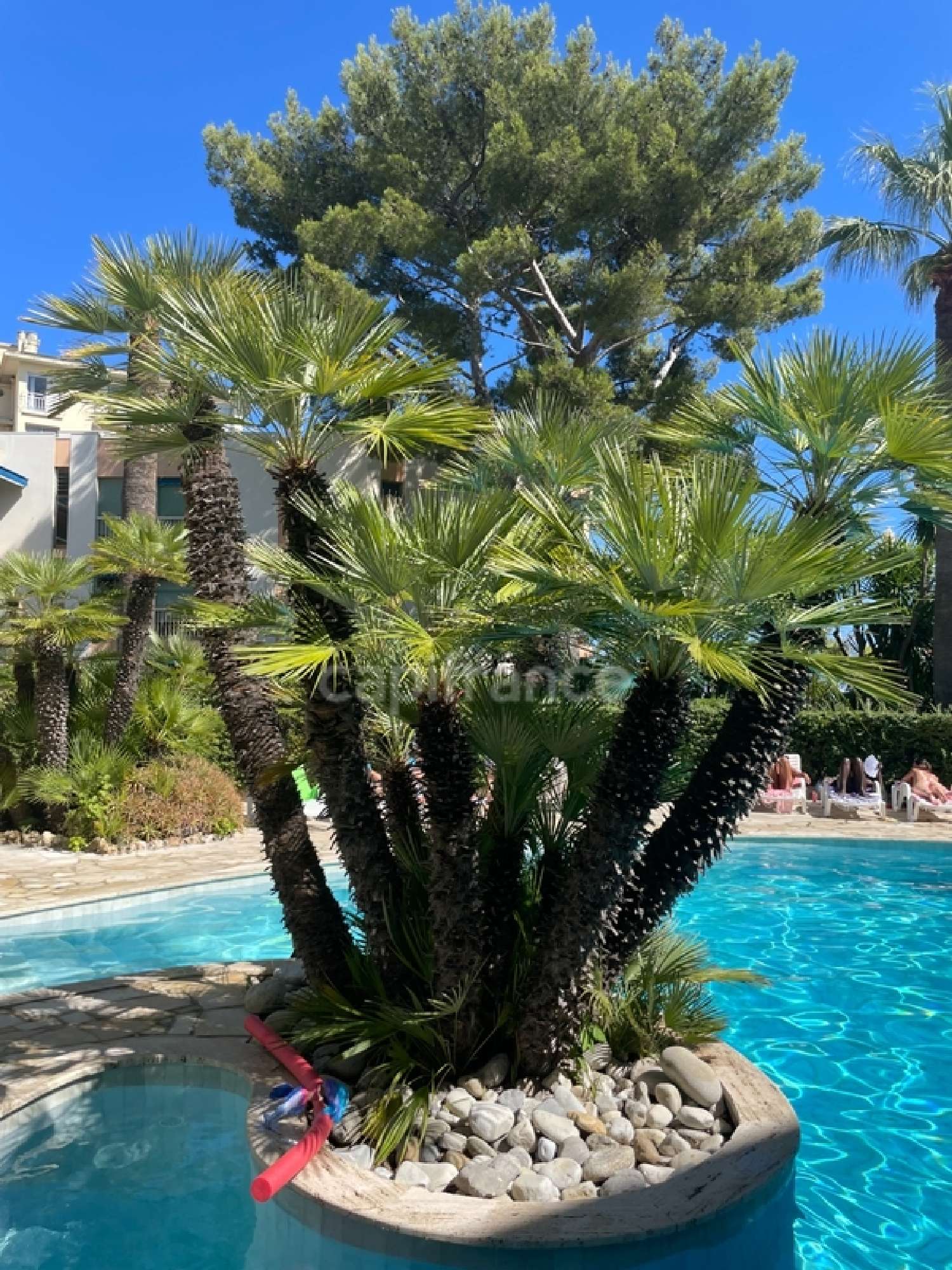  for sale apartment Cannes Alpes-Maritimes 7