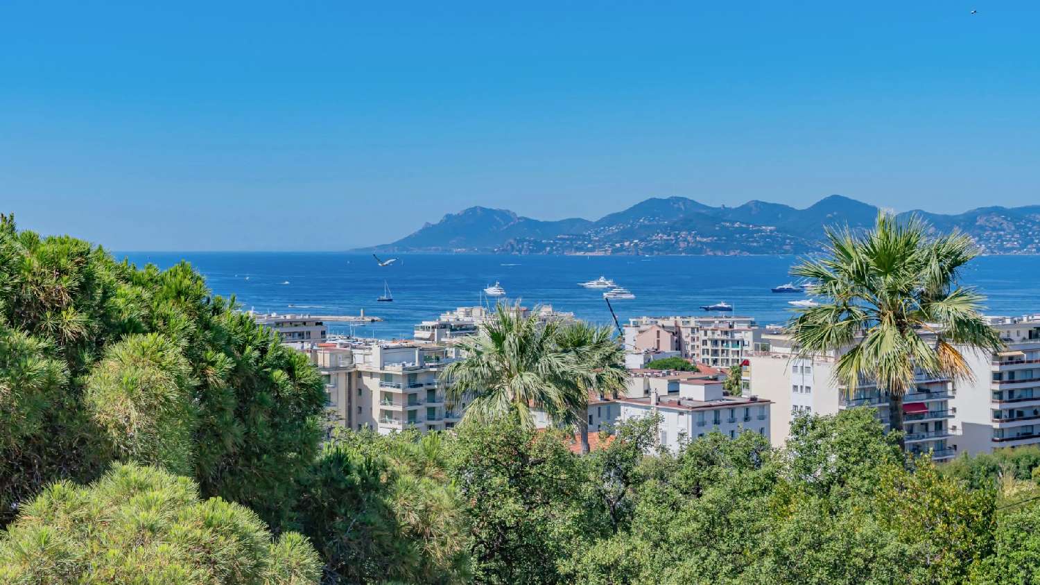  for sale apartment Cannes Alpes-Maritimes 6