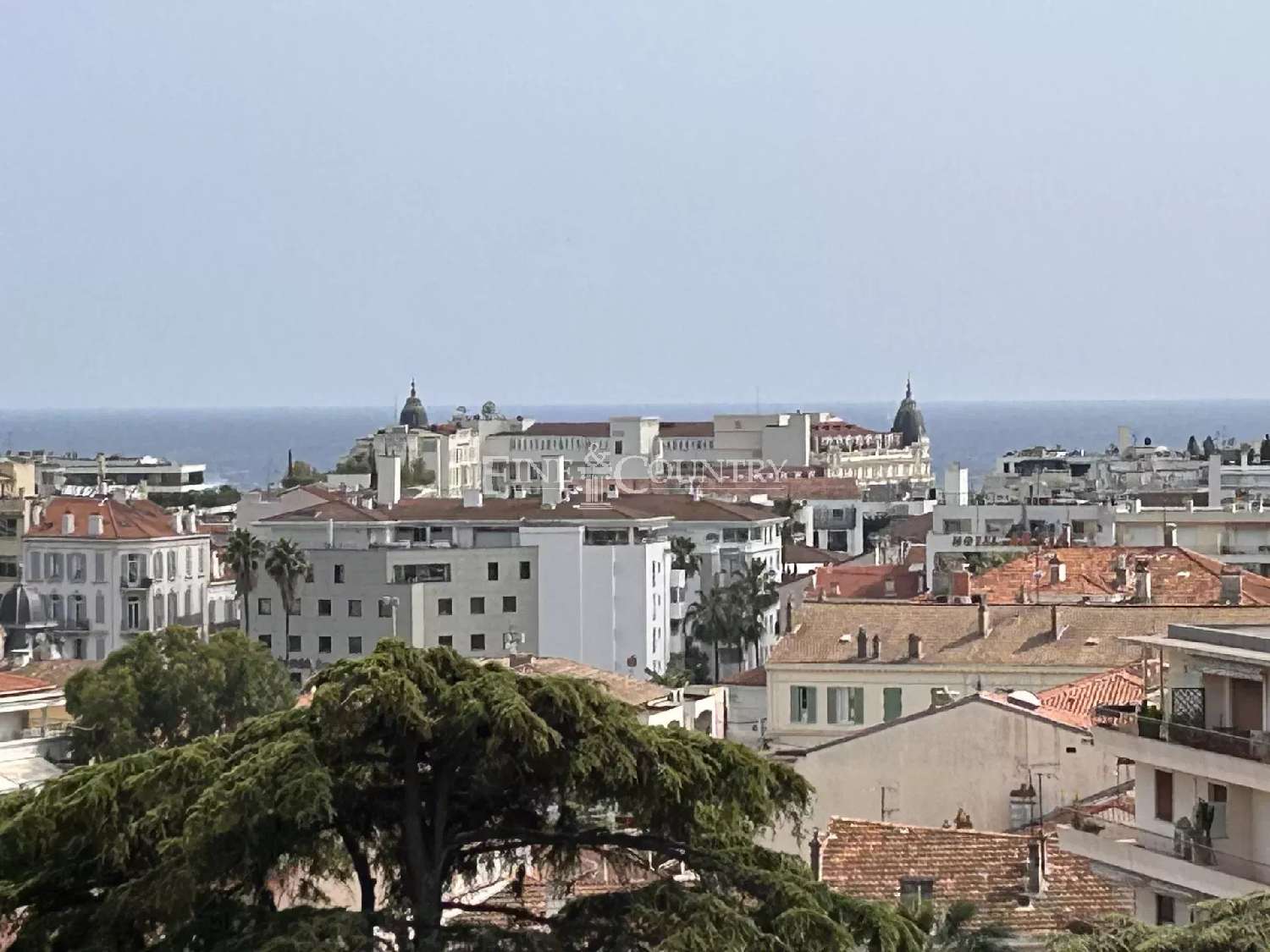 kaufen Wohnung/ Apartment Cannes Alpes-Maritimes 1