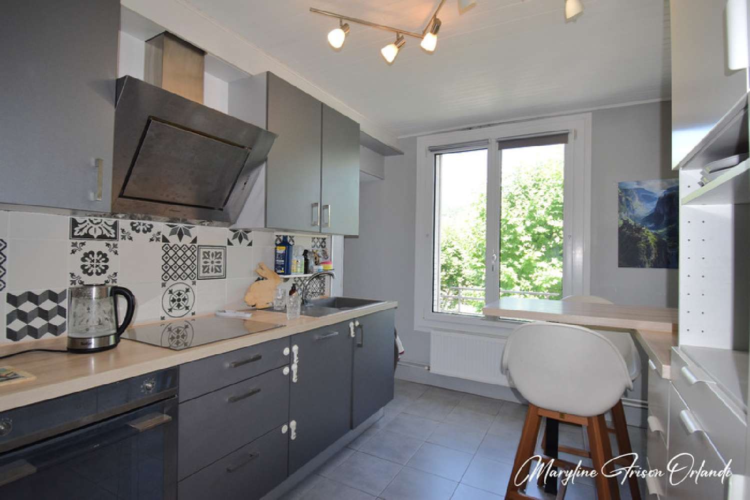 te koop appartement Chambéry Savoie 4