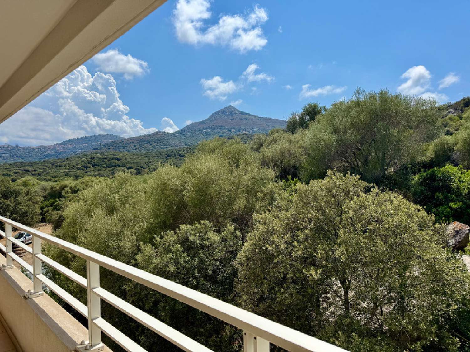 te koop appartement L'Île-Rousse Haute-Corse 1