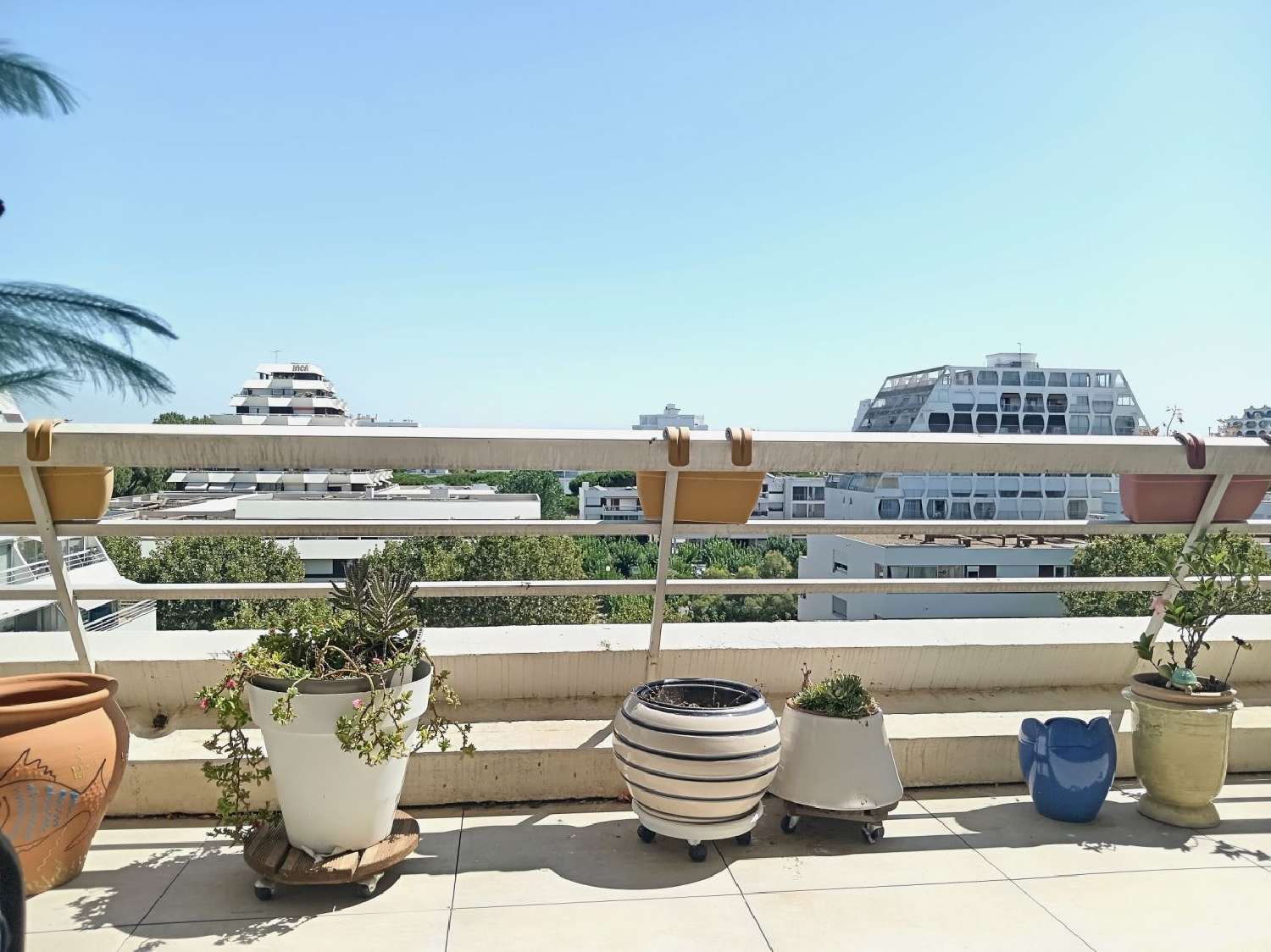  te koop appartement La Grande Motte Hérault 1