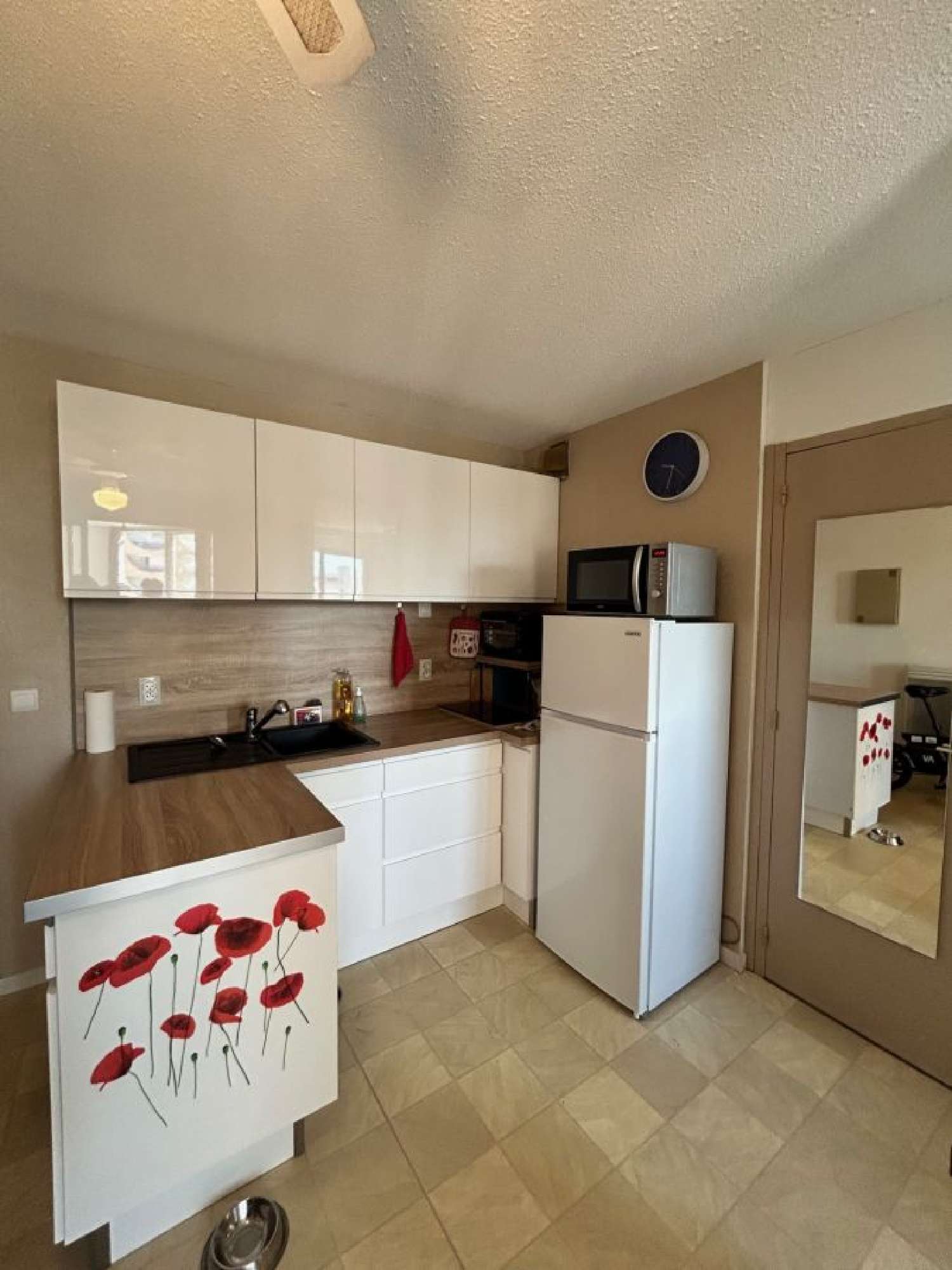 te koop appartement Le Grau-du-Roi Gard 2