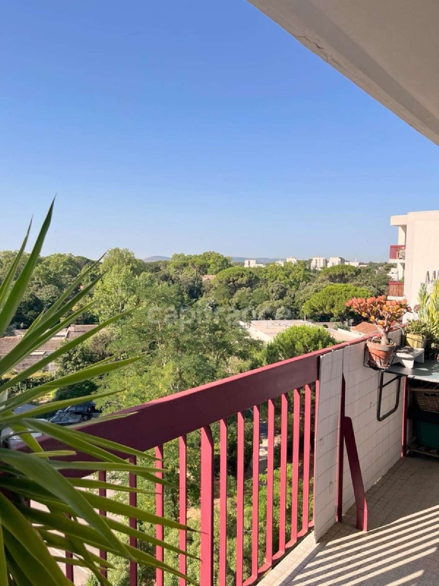 à vendre appartement Montpellier 34080 Hérault 6