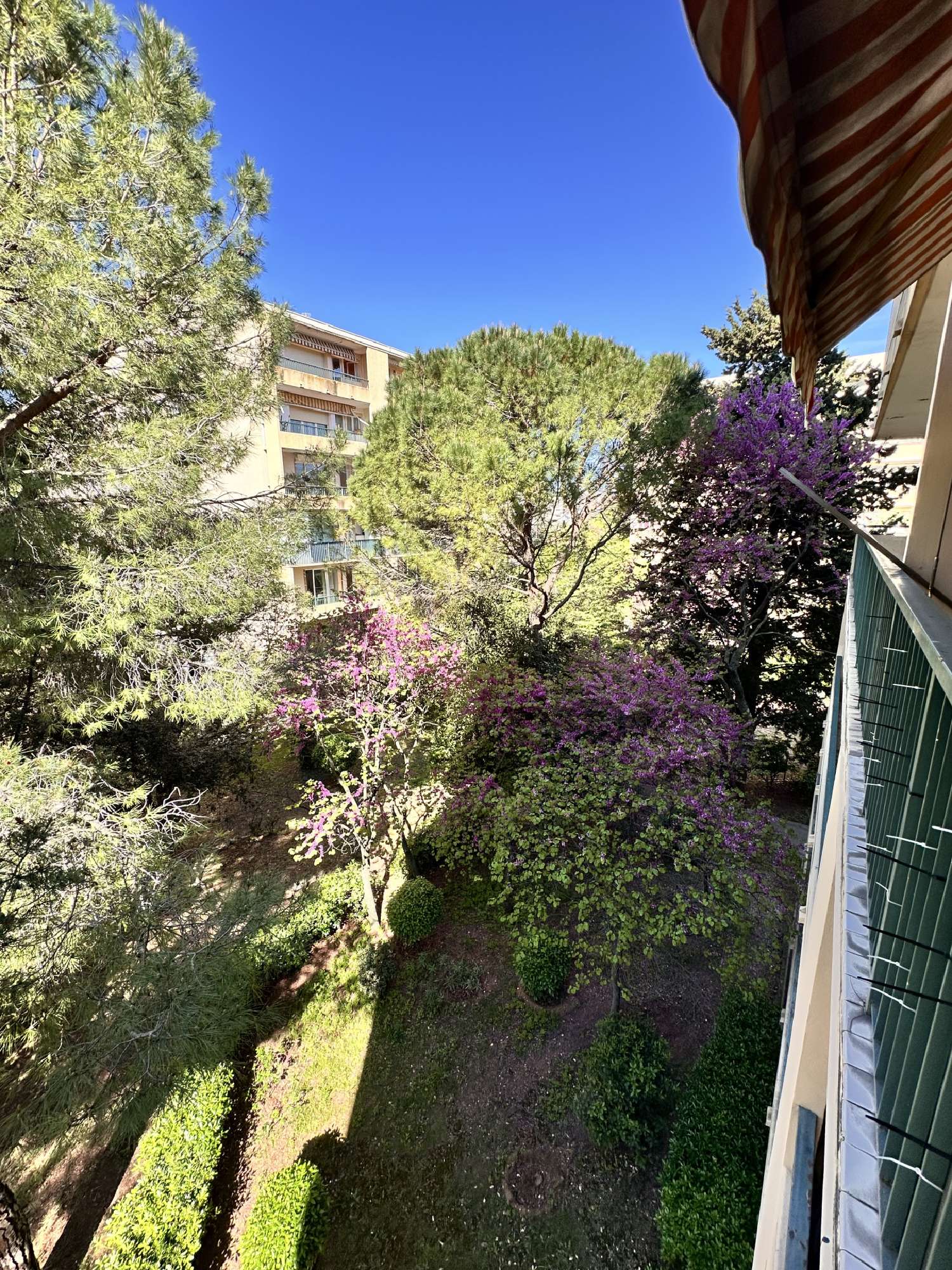  te koop appartement Montpellier Hérault 1
