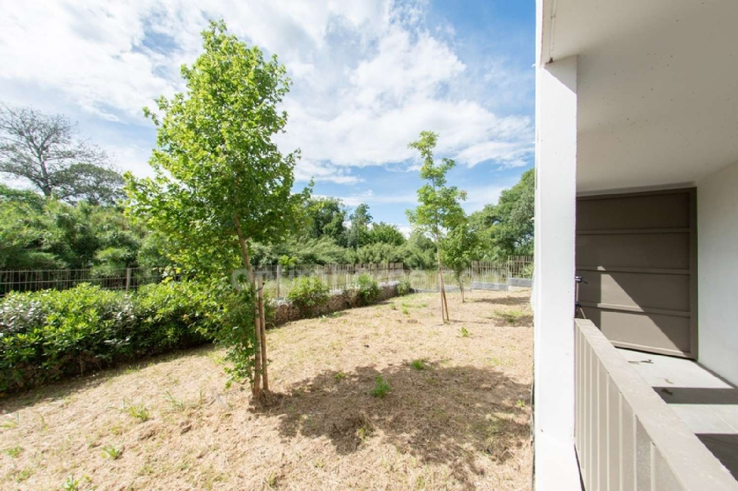 te koop appartement Montpellier 34080 Hérault 3