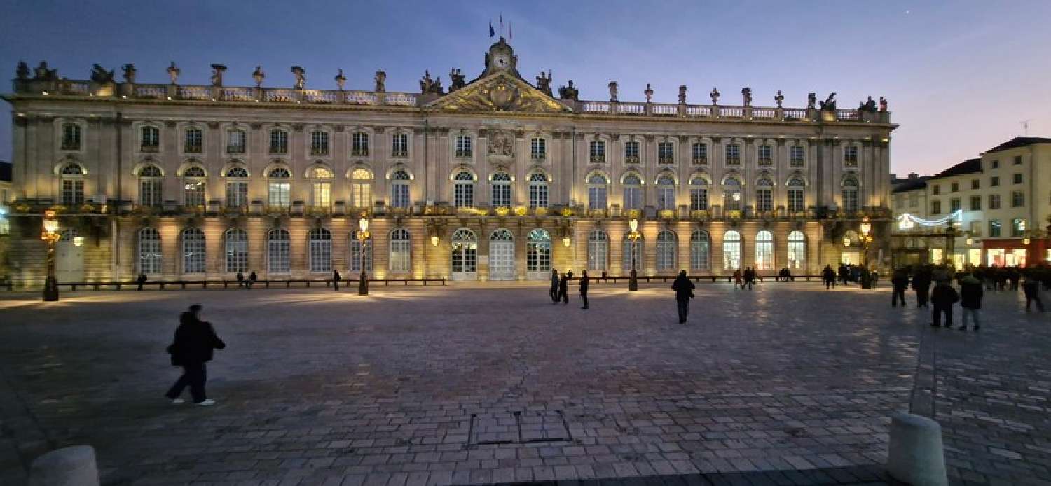 à vendre appartement Nancy Meurthe-et-Moselle 5